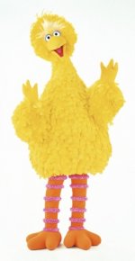 Big-Bird-Full_1.jpg