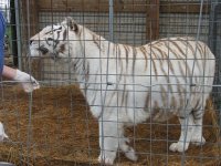 IMG_2187.jpg