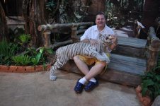 White Tiger1.jpg