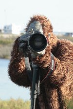 bigfoot with camera.jpg