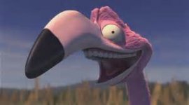 crazy flamingo.jpg