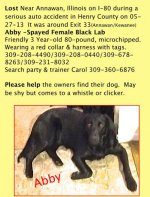 Lost spyderlovers dog near Annawan, Illinois - Lost Near Annawan, Illinois on I-80 during a serious auto accident in Henry County on 05-27-13  It was around Exit 33(Annawan/Kewanee)  Abby -Spayed Female Black Lab Friendly 3 Year-old 80-pound, microchipped.  Wearing a red collar & harness with tags.  309-208-4490/309-208-0440/309-678- 8263/309-231-8032 Search party & trainer Carol 309-360-6876    Please help the owners find their dog.  May be shy but comes to a whistle or clicker.