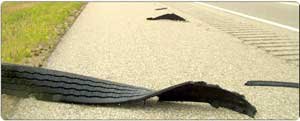 road-gator.jpg