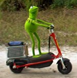 kermit-scooter1.jpg