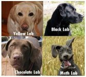 meth-lab_zps49a34926.jpg