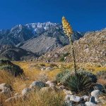 SanJacPeak.jpg