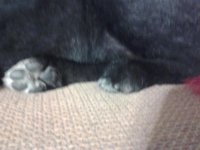 20130616_205431.jpg