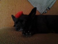 20130616_205302.jpg