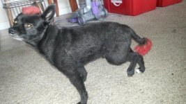 20130616_181743.jpg