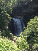 LOOKING GLASS FALLS(2).jpg