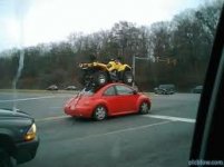ATV on Beetle.jpg