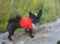 2011-07-30 LakeStopwithArntufun 021.jpg