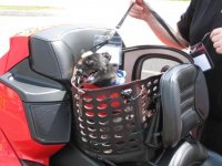 SpydersintheADKS7-28-11135.jpg