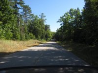 IMG_5520.JPG