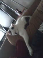 2011-09-07 16.21.49.jpg