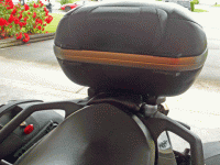 backrest 4.gif