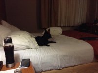 IMG_2816.jpg