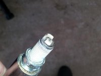 spyder plug.jpg