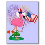 july 4th flamingo.jpg