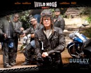 11541_realnye-kabany_or_wild-hogs_1280x1024_(www_GdeFon_ru).jpg