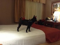 IMG_2804.jpg