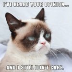 Grumpy cat.jpg