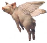 bacon away.jpg
