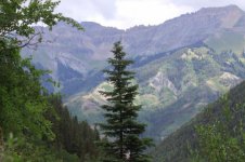 Bear Creak Telluride.jpg