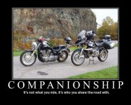 Companionship.jpg