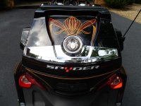 spyder paint 003.jpg