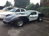 Cop Stingray.jpg