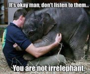 Being irrelephant.jpg