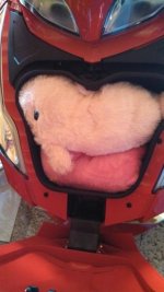 IMG_20130804_124449_710.jpg