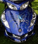 Spyder 0813.jpg