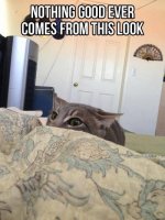 Sneaky Pete.jpg