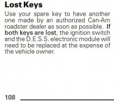 Lost Key 2.JPG