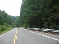 IMG_0115.jpg