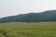 IMG_0143.jpg