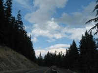 IMG_0290.jpg