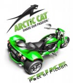 arctic cat.jpg