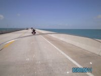Charlie on the bridge1.jpg
