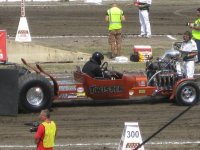 IMG_4203.jpg