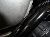 rSAM_0480.jpg