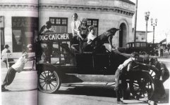 dog-catcher.jpg
