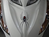 DSCN5307.jpg