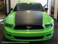 Mustang Hood Matte Black.jpg