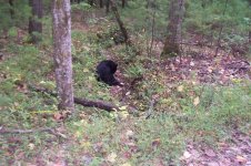100_3107.jpg
