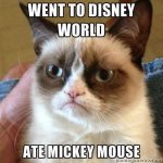 Went to WDW.jpg