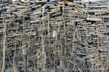 close-up-of-a-huge-pile-of-com.jpg