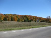 IMG_4393.jpg